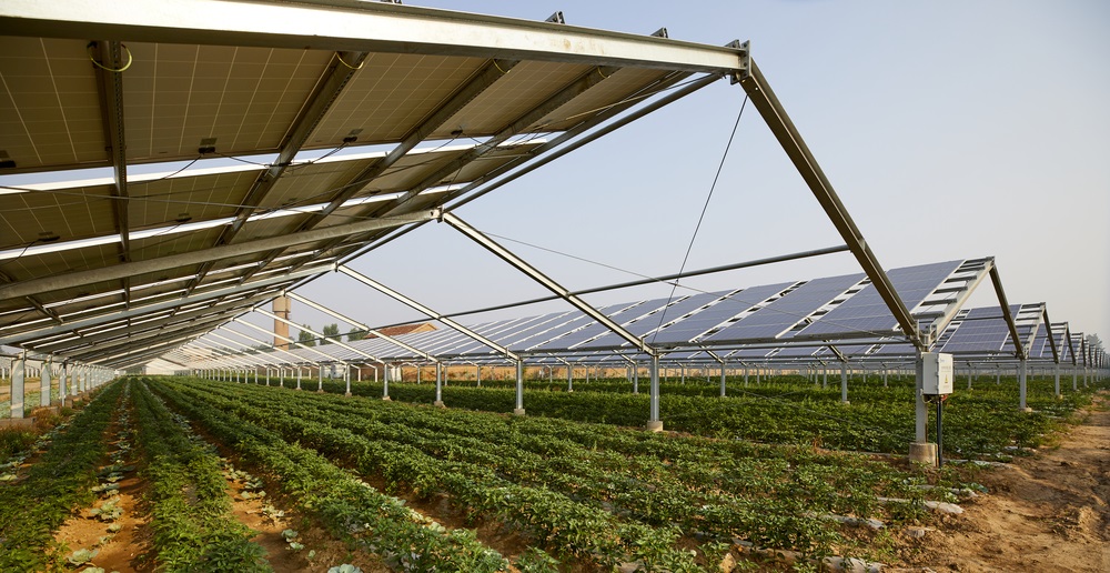 I limiti al Fotovoltaico sui terreni agricoli non valgono per l’agrivoltaico