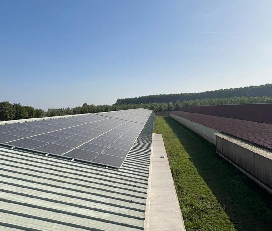 PNRR: inaugurati nel veronese i primi impianti realizzati con gli incentivi per il fotovoltaico del Parco Agrisolare